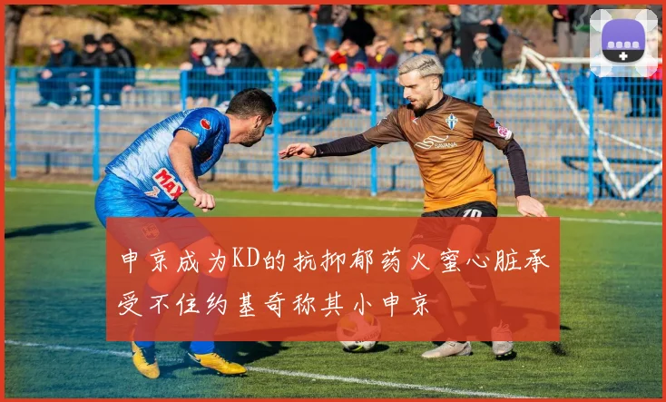申京成为KD的抗抑郁药火蜜心脏承受不住约基奇称其小申京